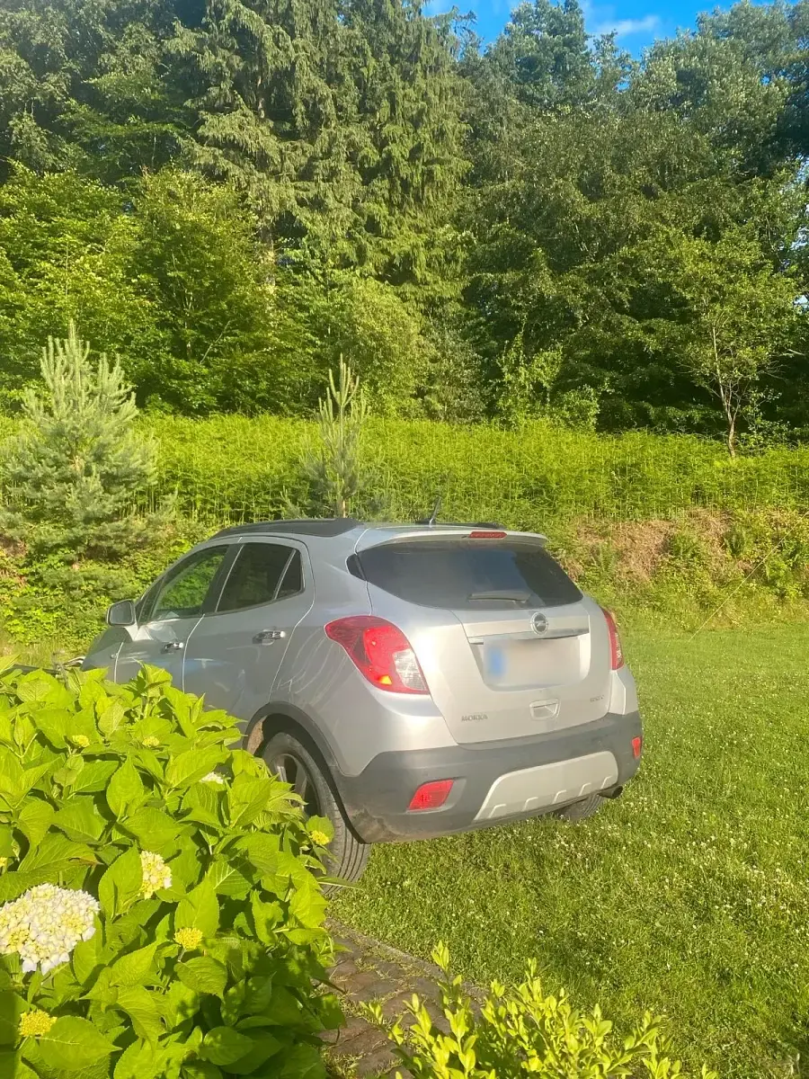 Gebraucht Opel Mokka 140 PS (102 kW) 2014 Silber SUV