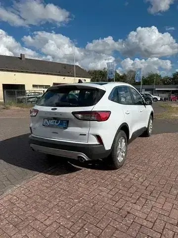 Gebraucht Ford Kuga Titanium 152 PS (111 kW) 2024 Weiß SUV