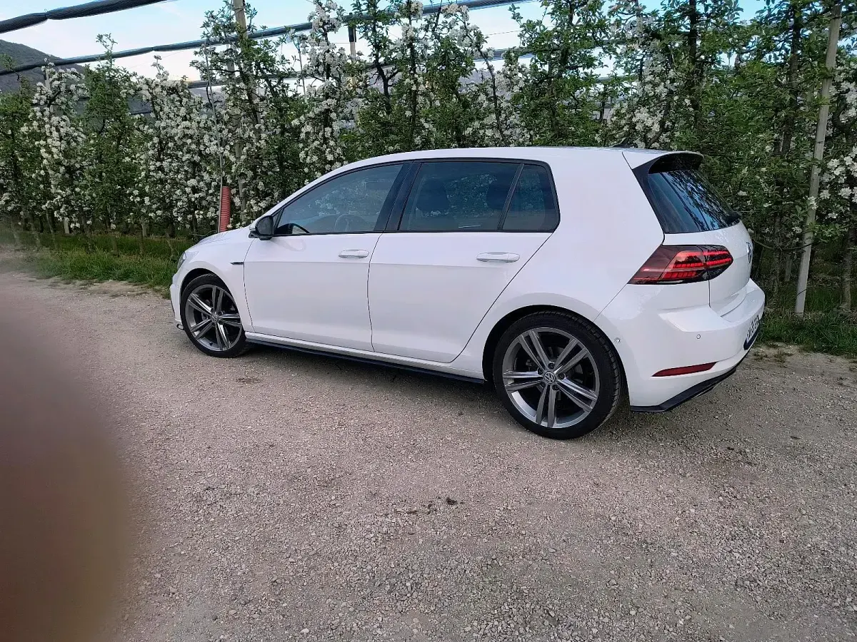Gebraucht VW Golf VIII R-line 150 PS (110 kW) 2020 Weiß Limousine
