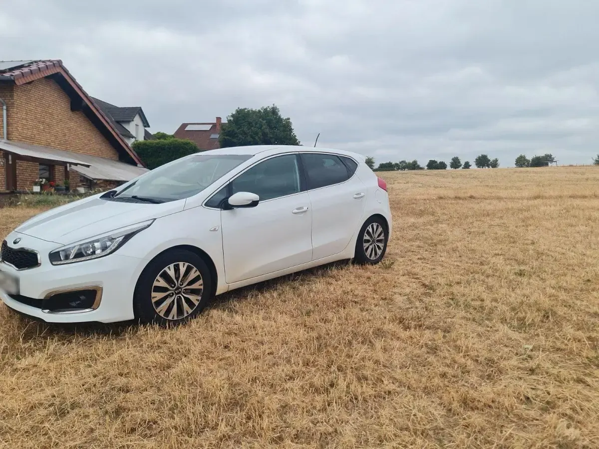 Gebraucht Kia Ceed DREAM-TEAM Edition 136 PS (100 kW) 2016 Weiß Kleinwagen