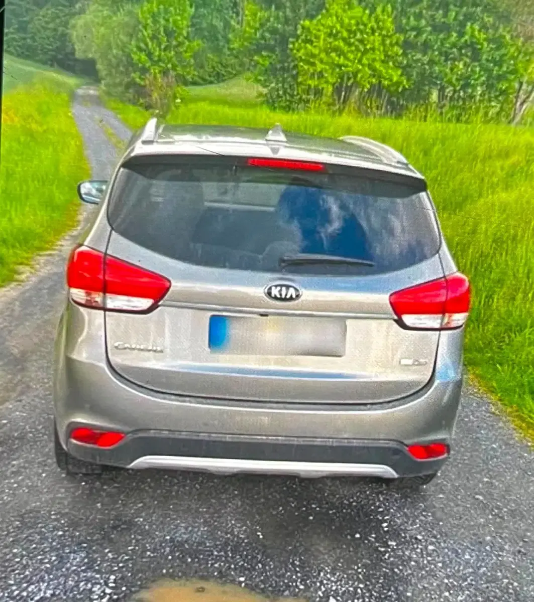 Gebraucht Kia Carens 141 PS (103 kW) 2018 Grau Van / Kleinbus