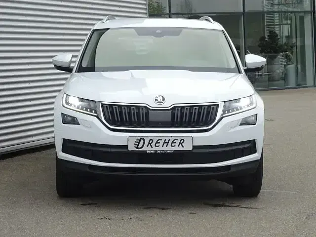 Gebraucht Skoda Kodiaq Style 180 PS (132 kW) 2018 Moonweiss metallic SUV