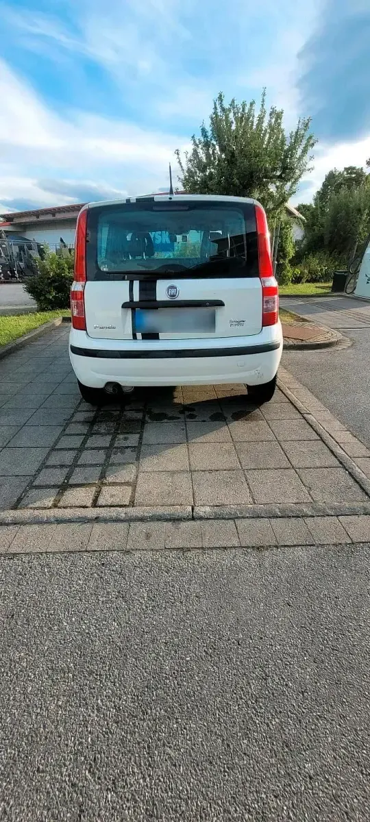 Gebraucht Fiat Panda 54 PS (39 kW) 2009 Weiß Kleinwagen