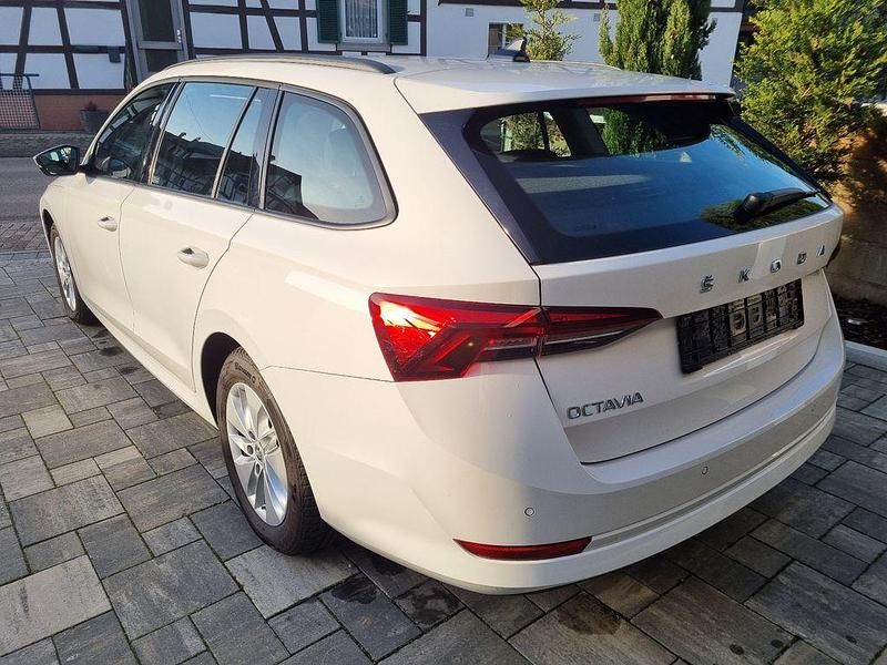 Gebraucht Skoda Octavia Ambition 150 PS (110 kW) 2022 Weiß Kombi