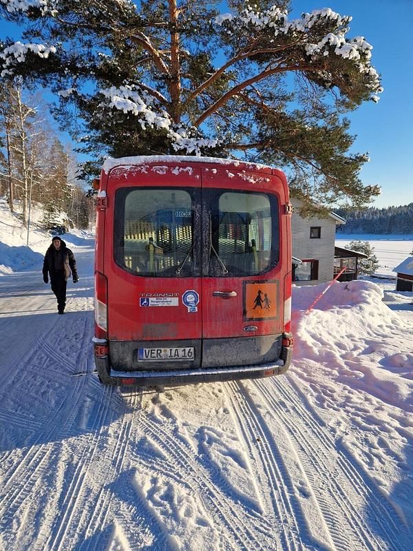 Second-hand Ford Transit 130 CP (95 kW) 2017 Roșu Van