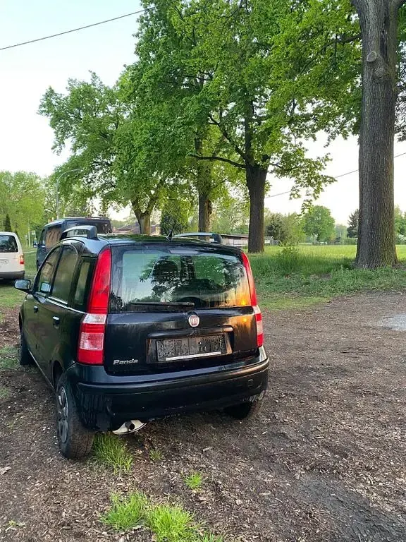 Gebraucht Fiat Panda 69 PS (50 kW) 2011 Schwarz Kleinwagen