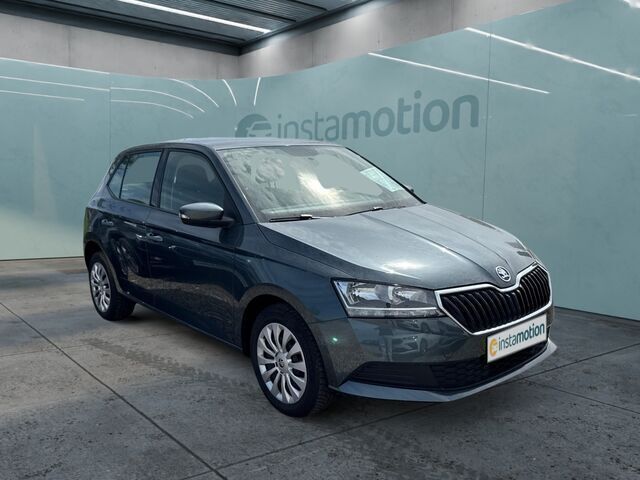 Grau Gebraucht 2020 Skoda Fabia Cool Plus Kleinwagen | 11.260 € (Fairer Preis) - Bild 1/2