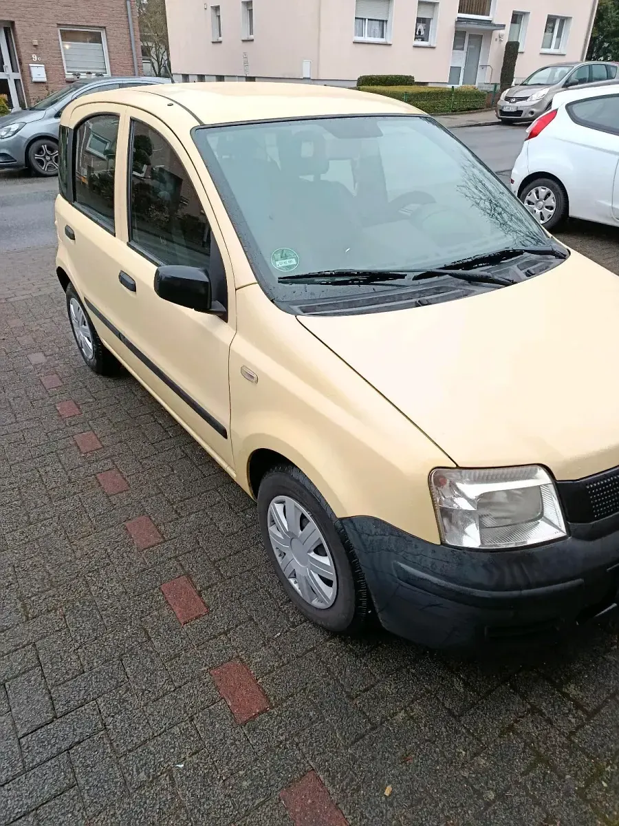Usata Fiat Panda 2009 Utilitaria