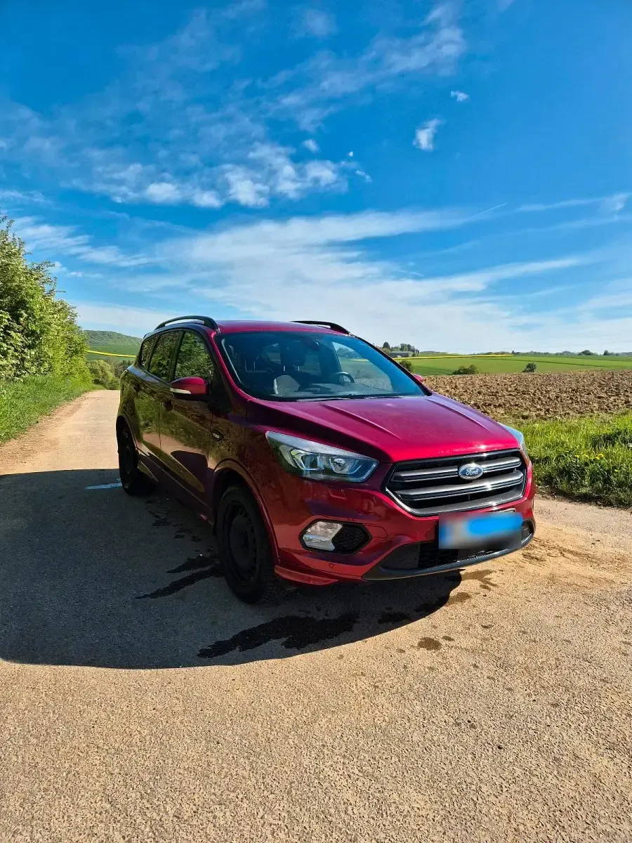 Gebraucht Ford Kuga ST-Line 182 PS (133 kW) 2019 Rot SUV