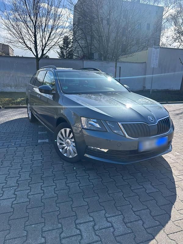 Gebraucht Skoda Octavia G-TEC Ambition 2018 Grau Kombi