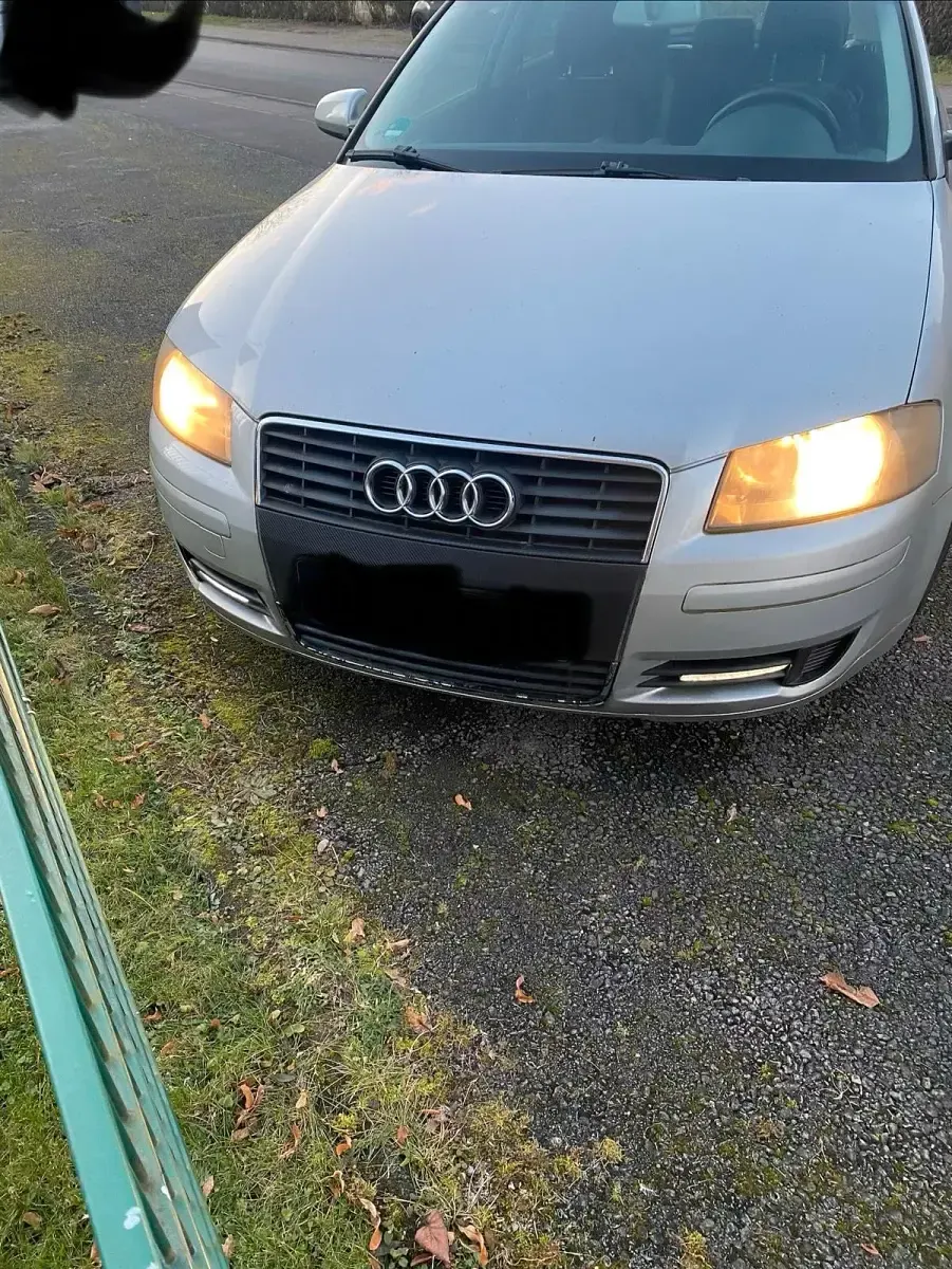 Gebraucht Audi A3 102 PS (75 kW) 2003 Silber Kleinwagen