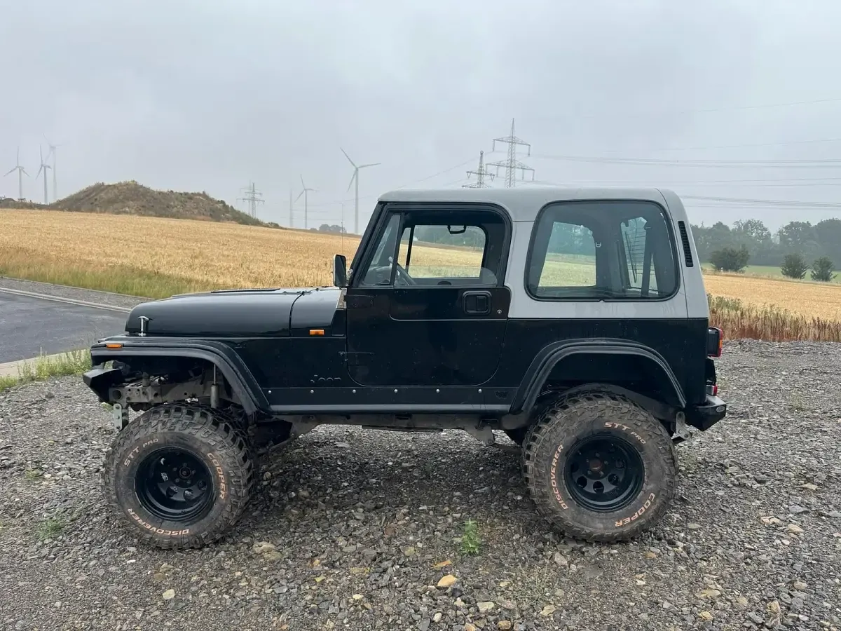 Gebraucht Jeep Wrangler 178 PS (130 kW) 1992 Schwarz SUV