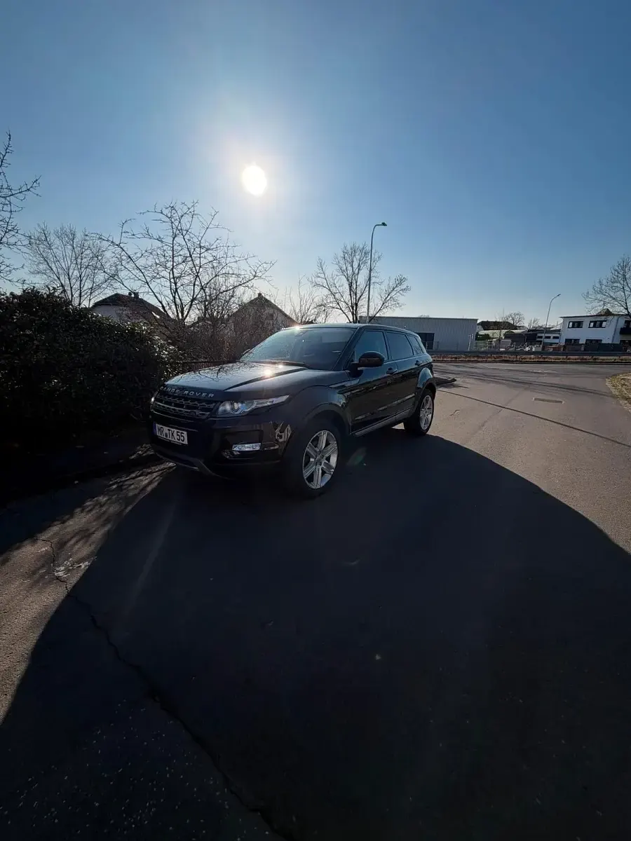 Used Land Rover Range Rover evoque 150 HP (110 kW) 2014 Black SUV