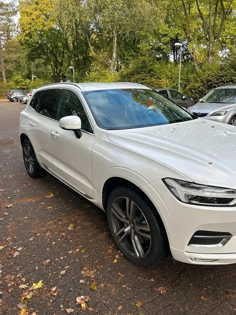 Gebraucht Volvo XC60 197 PS (144 kW) 2019 Weiß SUV