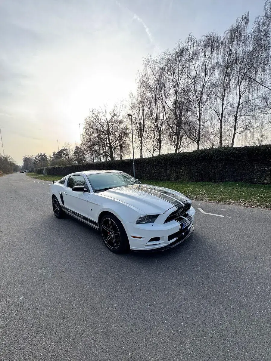 Occasion Ford Mustang 305 ch (224 kW) 2013 Blanc Coupé