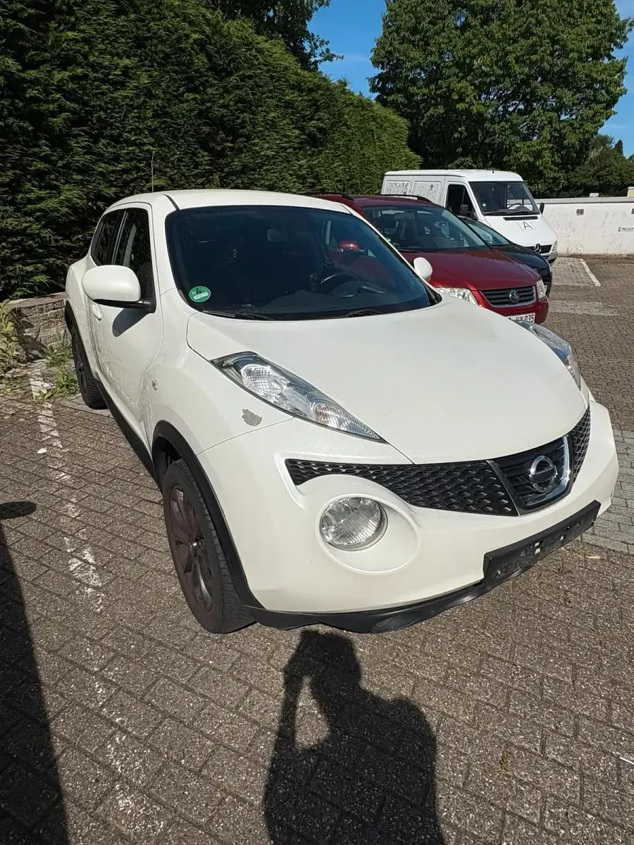 Gebraucht Nissan Juke 110 PS (80 kW) 2014 Weiß SUV