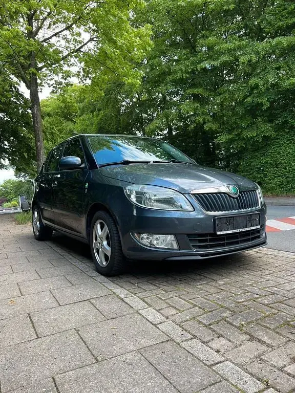 Gebraucht Skoda Fabia Active 75 PS (55 kW) 2012 Grau Limousine