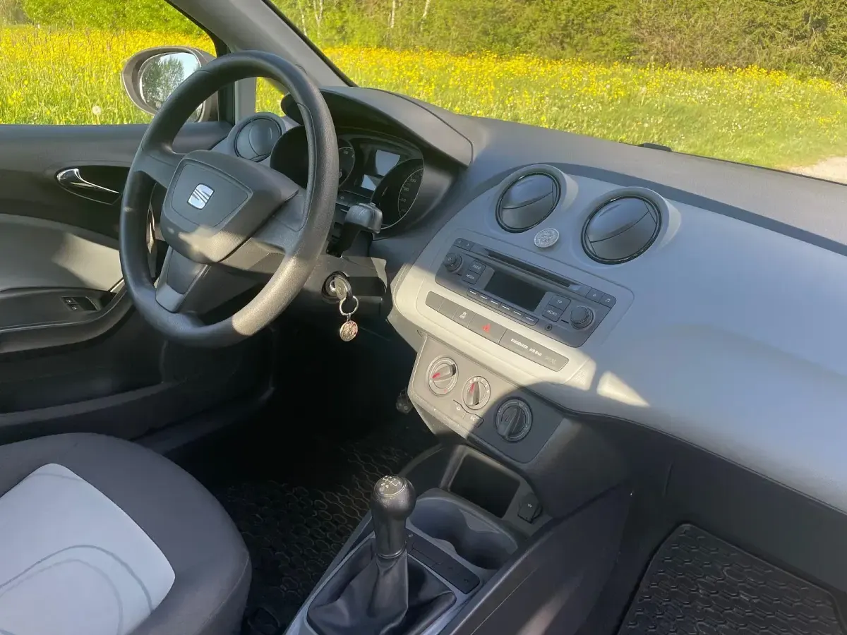Gebraucht Seat Ibiza Reference 69 PS (50 kW) 2013 Grau Kleinwagen