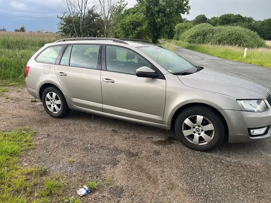 Gebraucht Skoda Octavia Active 110 PS (80 kW) 2015 Grau Kombi