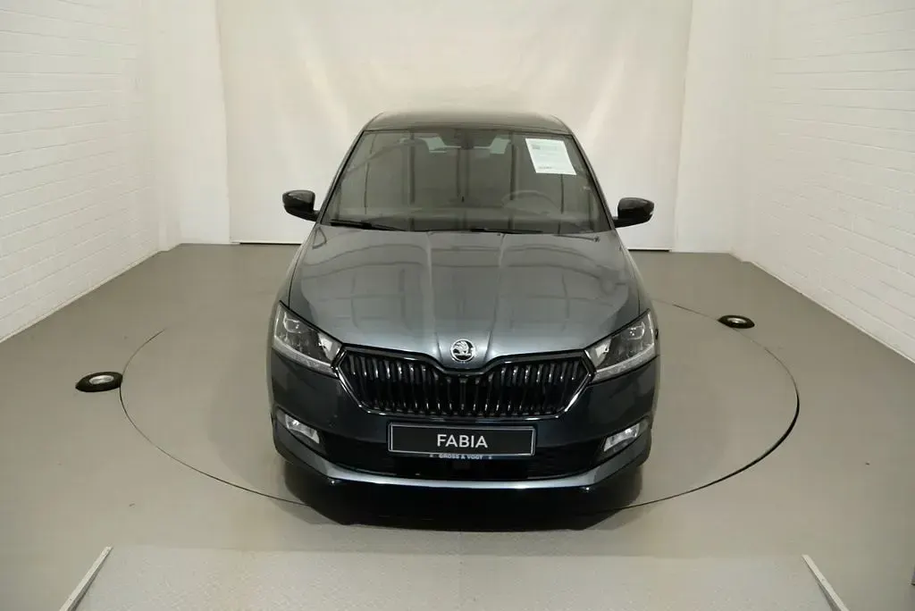 Gebraucht Skoda Fabia Monte Carlo 110 PS (80 kW) 2020 Grau Kleinwagen