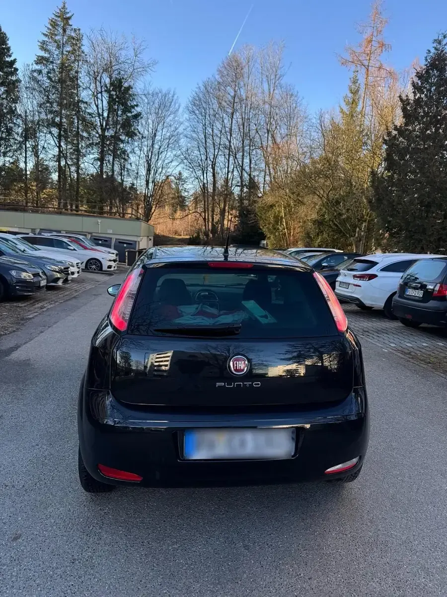 Gebraucht Fiat Punto Young 69 PS (50 kW) 2015 Schwarz Kleinwagen