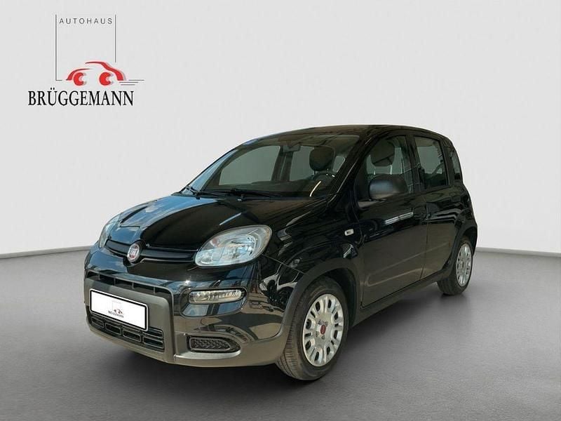 Gebraucht Fiat Panda 69 PS (50 kW) 2023 Schwarz Kleinwagen