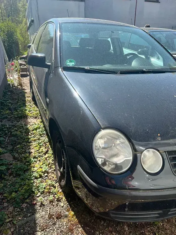 Occasion VW Polo Basis 64 ch (47 kW) 2004 Noir Citadine