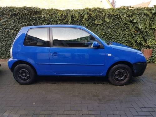 Lupo Blau Lupo Blau