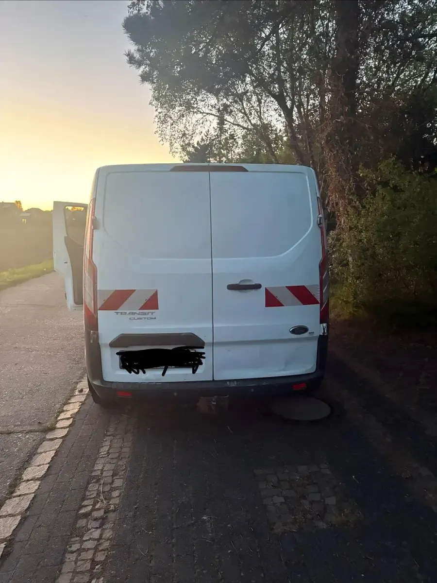 Usata Ford Transit 131 CV (96 kW) 2017 Bianco Monovolume