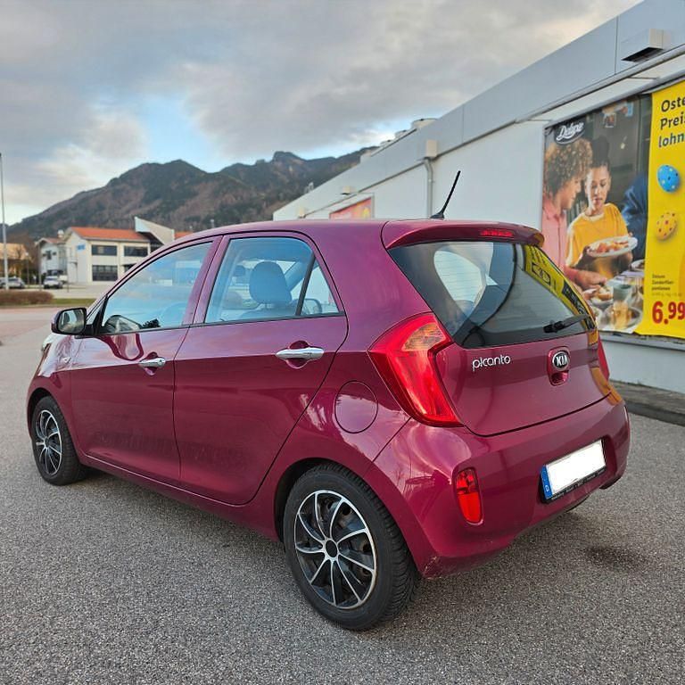 Gebraucht Kia Picanto 69 PS (50 kW) 2014 Violet Kleinwagen