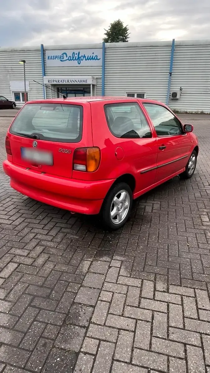 Usata VW Polo 101 CV (74 kW) 1997 Rosso Utilitaria