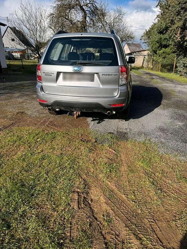 Gebraucht Subaru Forester Active 150 PS (110 kW) 2008 Grau SUV