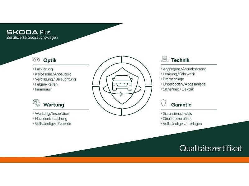 Gebraucht Skoda Octavia RS 245 PS (180 kW) 2019 Schwarz Kombi