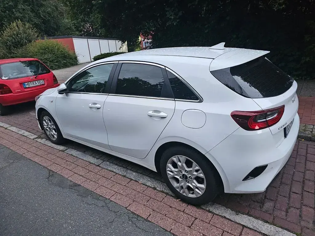 Gebraucht Kia Ceed Vision 160 PS (117 kW) 2023 Weiß Kleinwagen