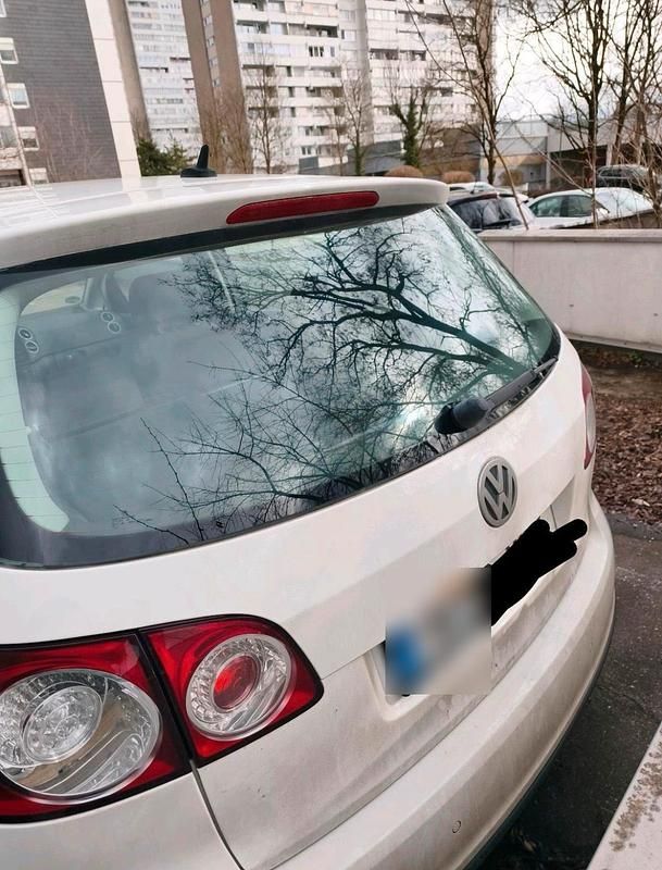 Gebraucht VW Golf IV 75 PS (55 kW) 2006 Weiß Kleinwagen