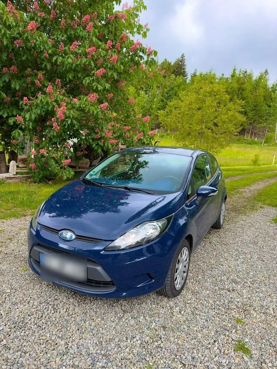 Gebraucht Ford Fiesta 60 PS (44 kW) 2009 Blau Kleinwagen