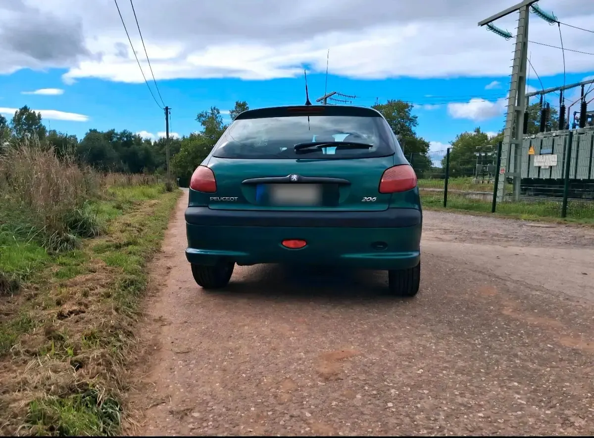 Gebraucht Peugeot 206 75 PS (55 kW) 2002 Grün Kleinwagen