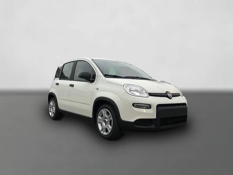 Gebraucht Fiat Panda 69 PS (50 kW) 2024 Weiß Kleinwagen