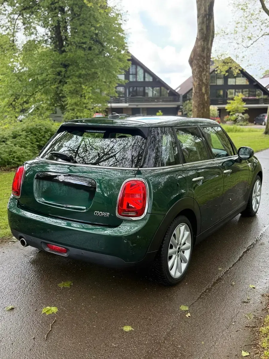 Occasion Mini Cooper 136 PK (100 kW) 2018 Groen Hatchback