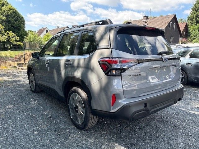Neu Subaru Forester Active 152 PS (111 kW) 2025 Grau SUV