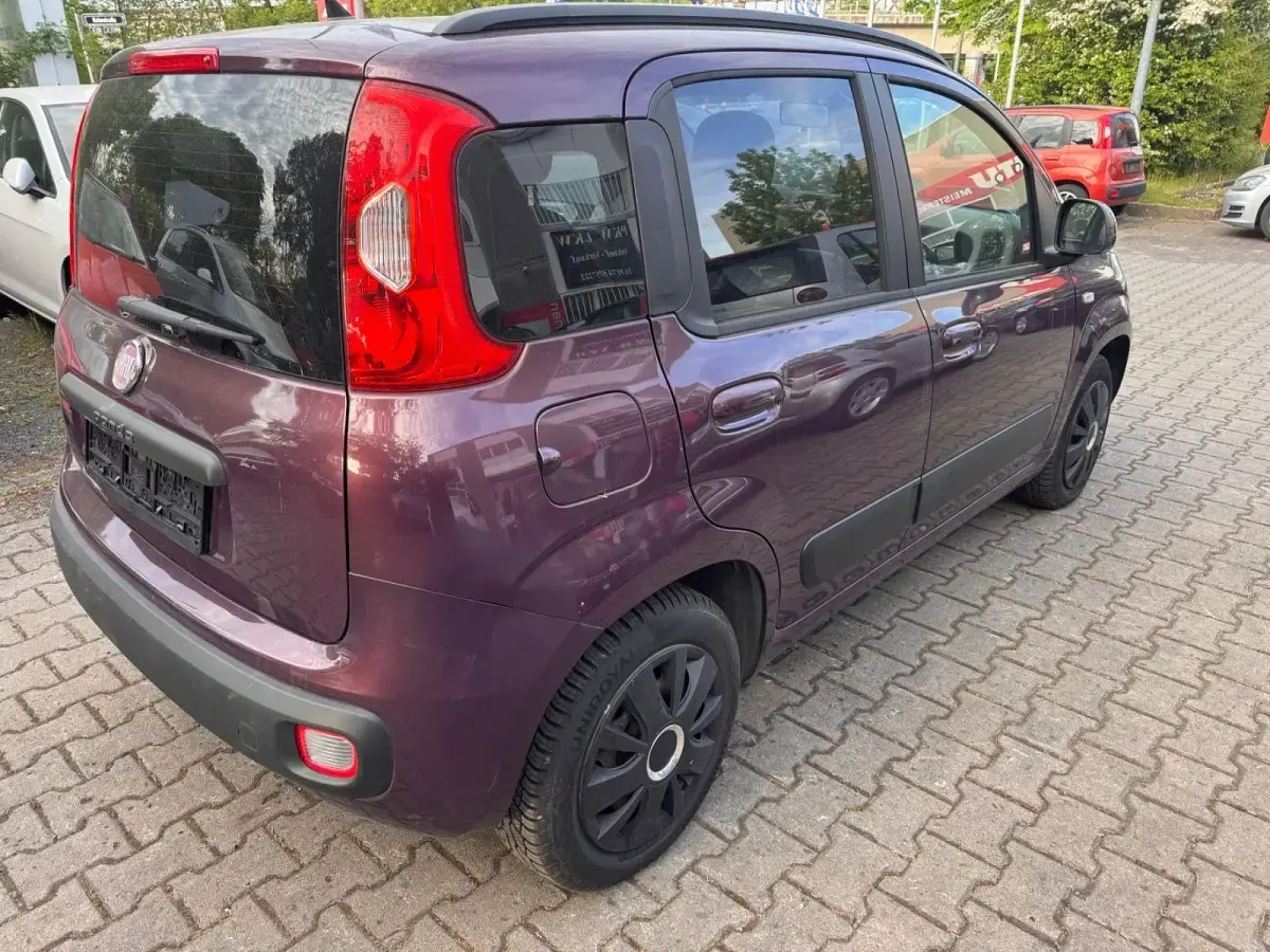 Usata Fiat Panda Lounge 86 CV (63 kW) 2012 Viola Utilitaria