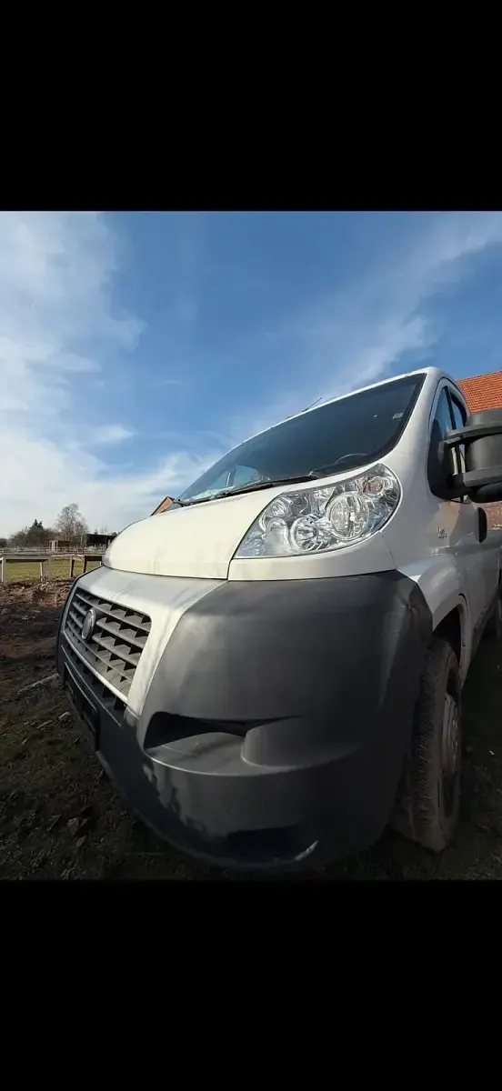 Gebraucht Fiat Ducato 115 PS (84 kW) 2013 Weiß Van