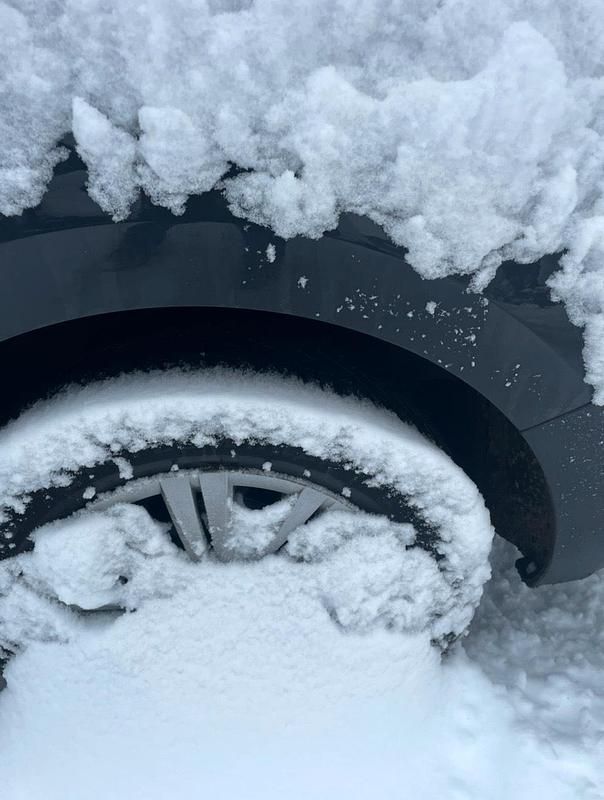 Gebraucht Seat Alhambra 4Drive 150 PS (110 kW) 2019 Grau Van / Kleinbus