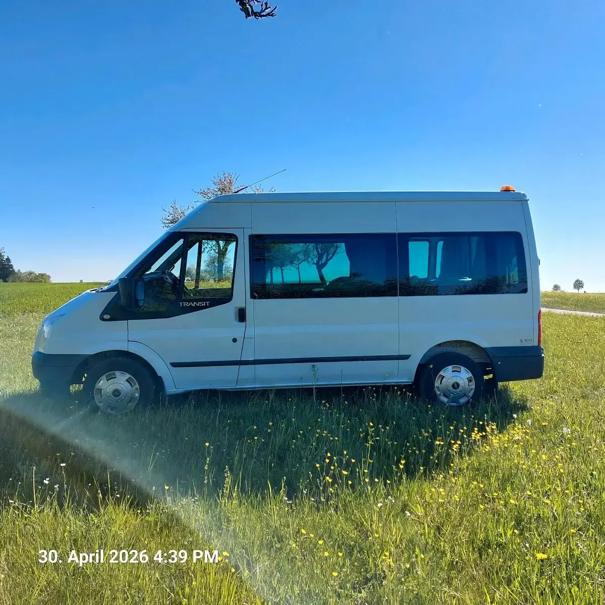 Usata Ford Transit 125 CV (91 kW) 2014 Bianco Monovolume