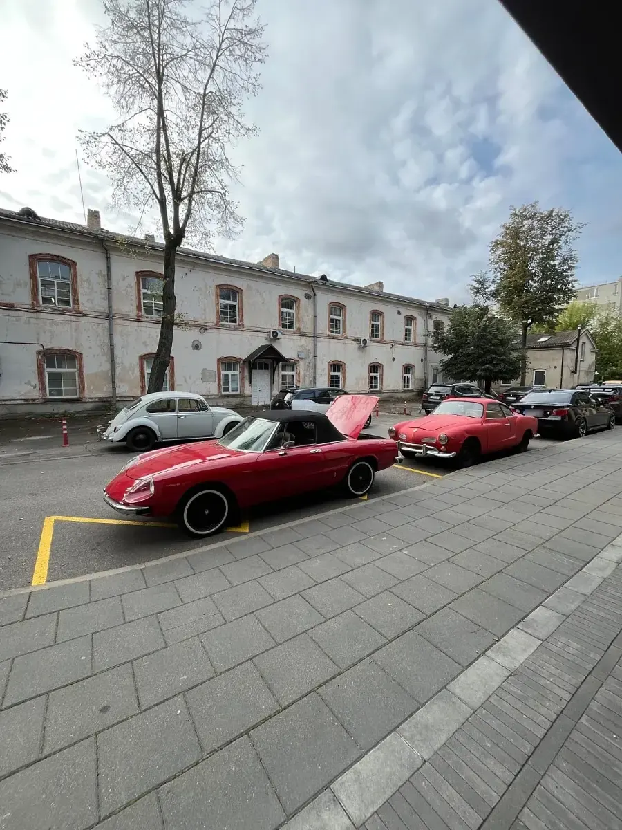 Gebraucht Alfa Romeo Spider Veloce 130 PS (95 kW) 1981 Cabrio