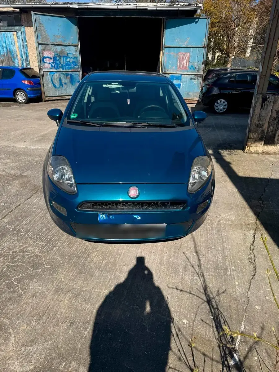 Gebraucht Fiat Punto 90 PS (66 kW) 2012 Grün Kleinwagen