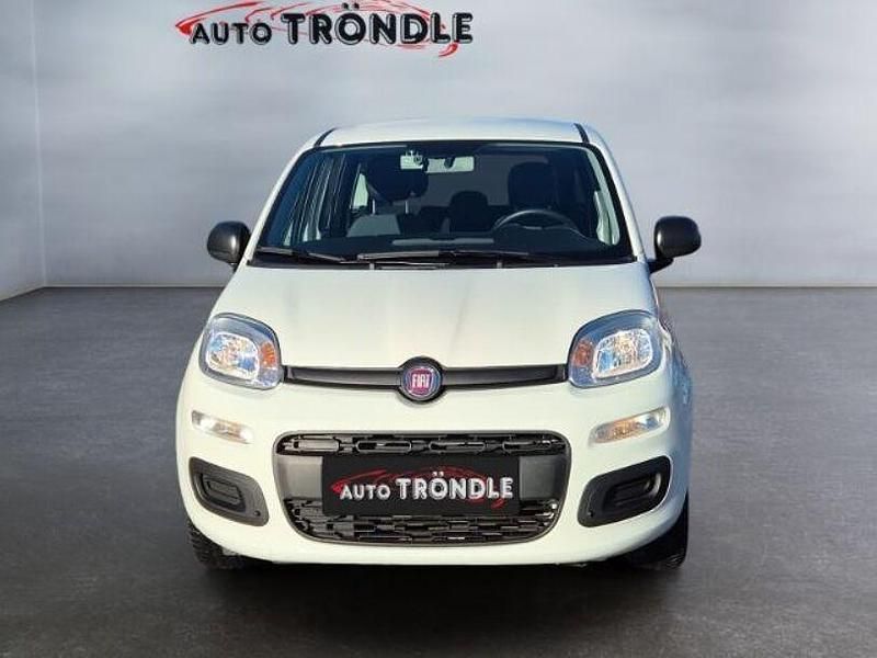 Gebraucht Fiat Panda Easy 69 PS (50 kW) 2020 Weiss Kleinwagen