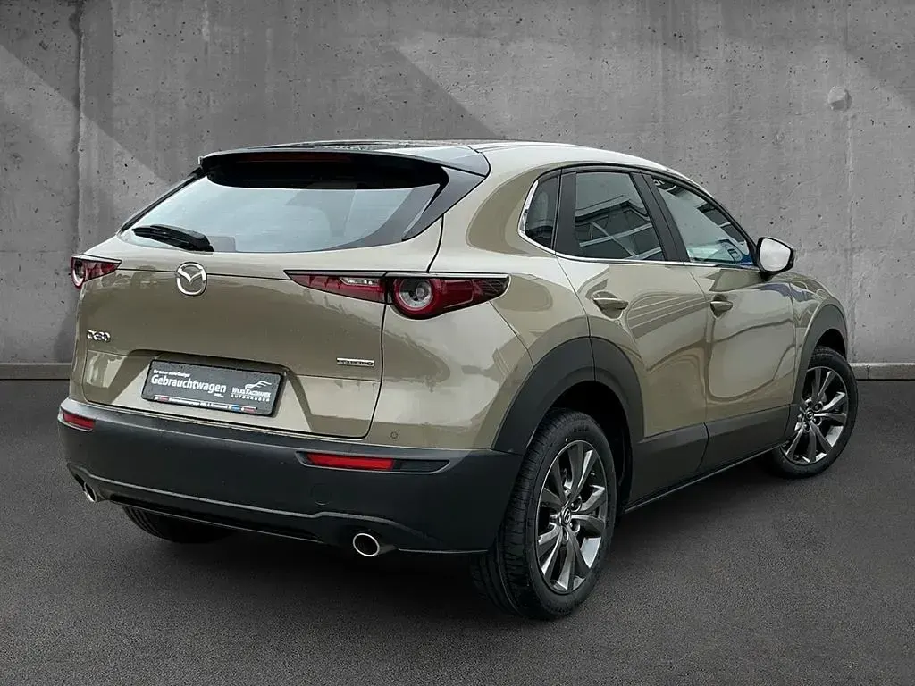Gebraucht Mazda CX-30 Exclusive 122 PS (89 kW) 2024 Zircon sand SUV