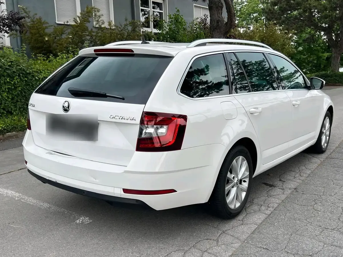 Gebraucht Skoda Octavia 150 PS (110 kW) 2019 Weiß Kombi