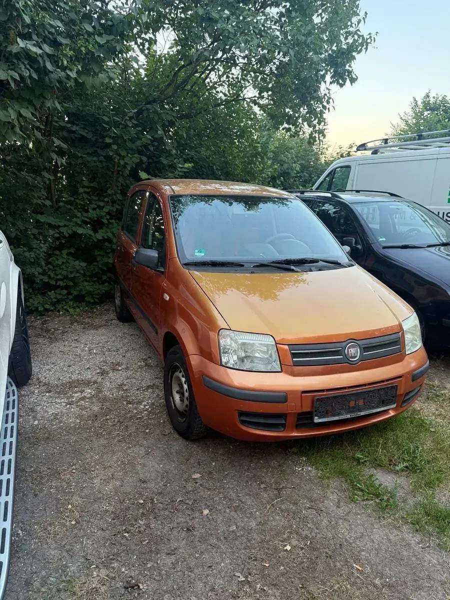 Gebraucht Fiat Panda 2009 Gold Kleinwagen